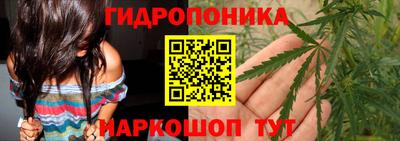 гашик Краснодар
