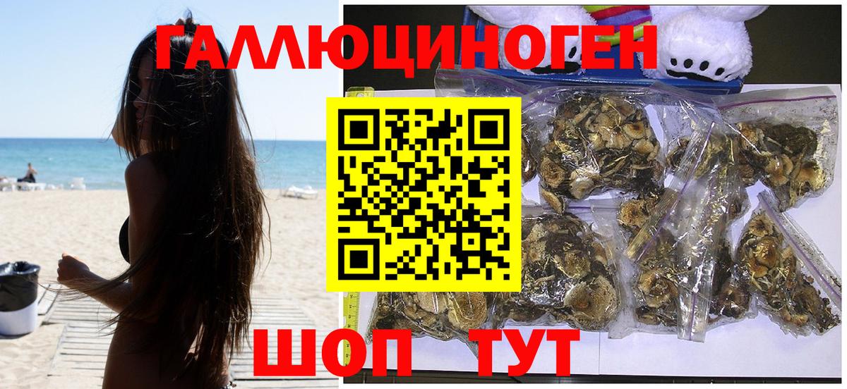 Галлюциногенные грибы GOLDEN TEACHER  Вход с VPN  Кострома 